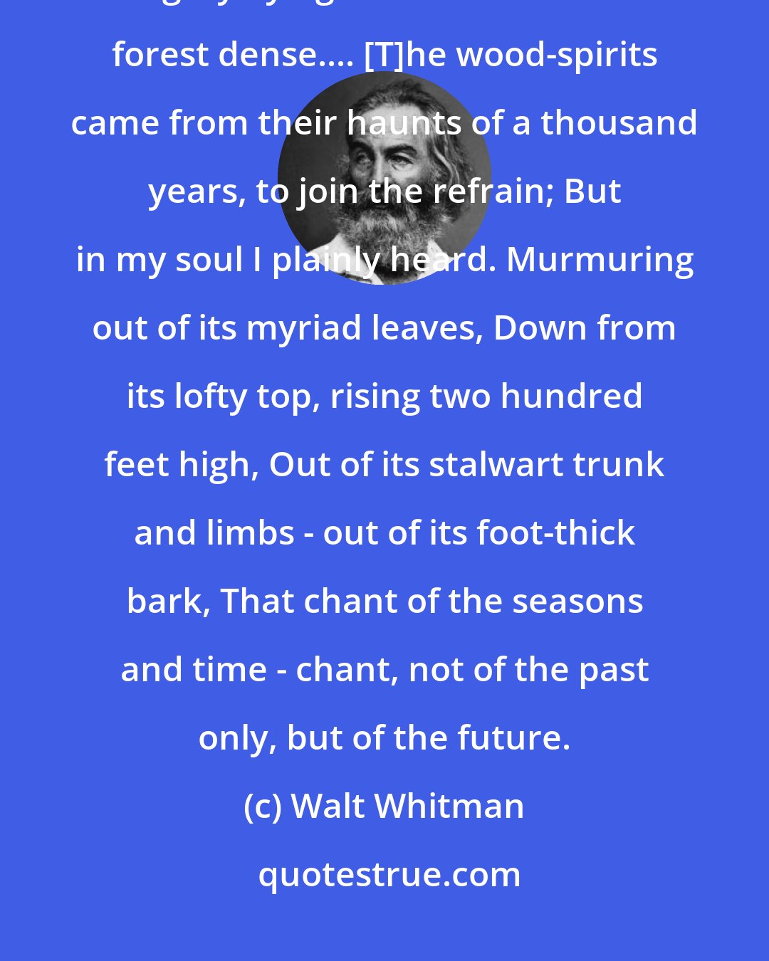 Walt Whitman: A murmuring, fateful, giant voice, out of the earth and sky, Voice of a mighty dying tree in the Redwood forest dense.... [T]he wood-spirits came from their haunts of a thousand years, to join the refrain; But in my soul I plainly heard. Murmuring out of its myriad leaves, Down from its lofty top, rising two hundred feet high, Out of its stalwart trunk and limbs - out of its foot-thick bark, That chant of the seasons and time - chant, not of the past only, but of the future.