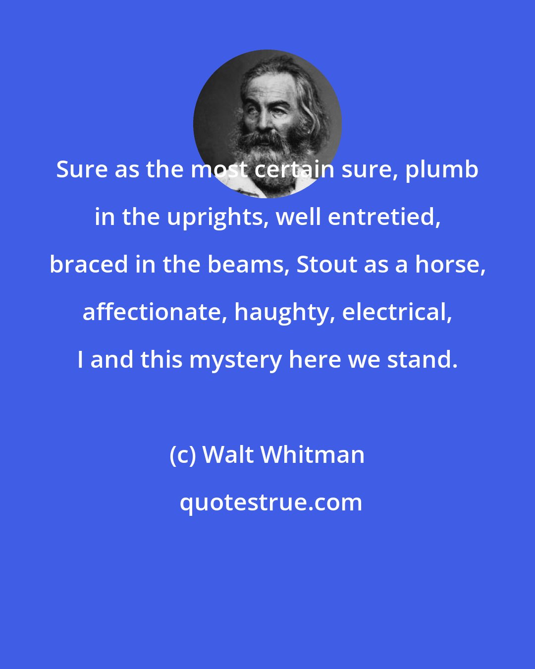 Walt Whitman: Sure as the most certain sure, plumb in the uprights, well entretied, braced in the beams, Stout as a horse, affectionate, haughty, electrical, I and this mystery here we stand.