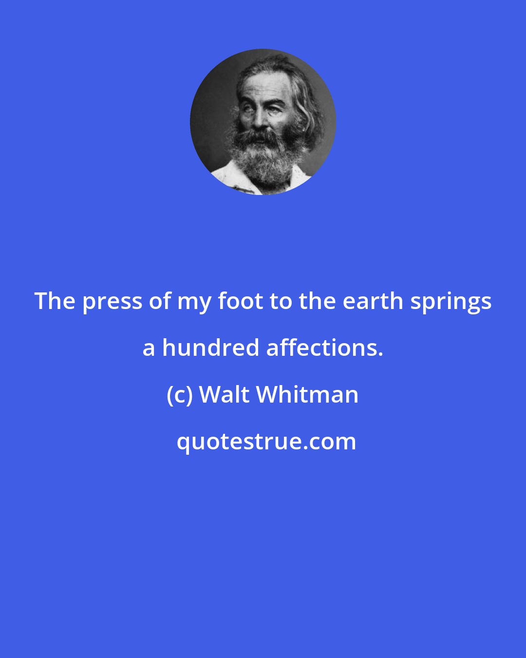 Walt Whitman: The press of my foot to the earth springs a hundred affections.