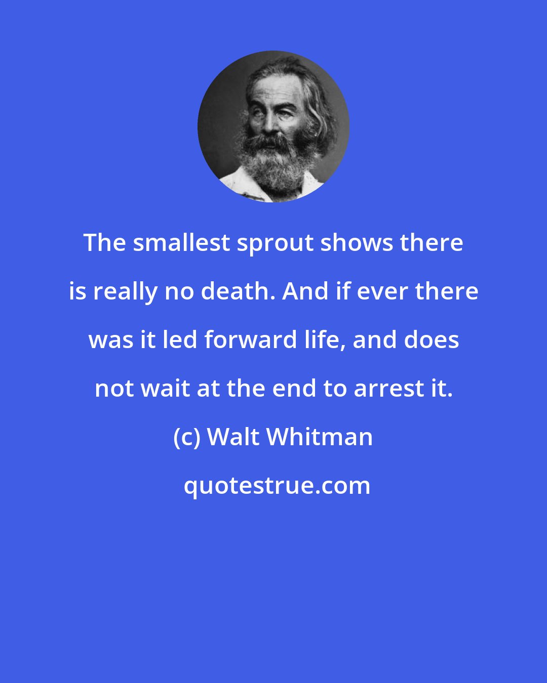 Walt Whitman: The smallest sprout shows there is really no death. And if ever there was it led forward life, and does not wait at the end to arrest it.