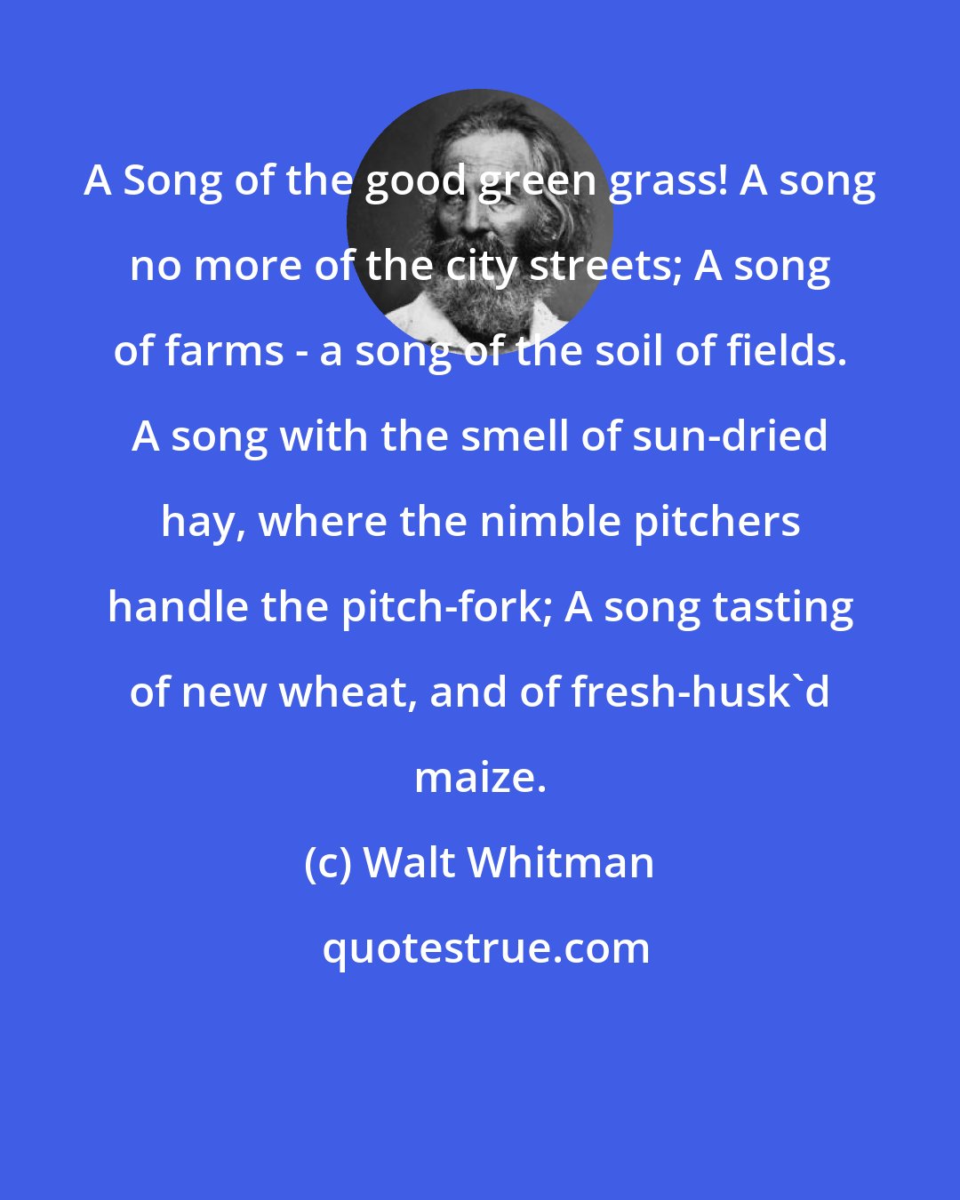 Walt Whitman: A Song of the good green grass! A song no more of the city streets; A song of farms - a song of the soil of fields. A song with the smell of sun-dried hay, where the nimble pitchers handle the pitch-fork; A song tasting of new wheat, and of fresh-husk'd maize.