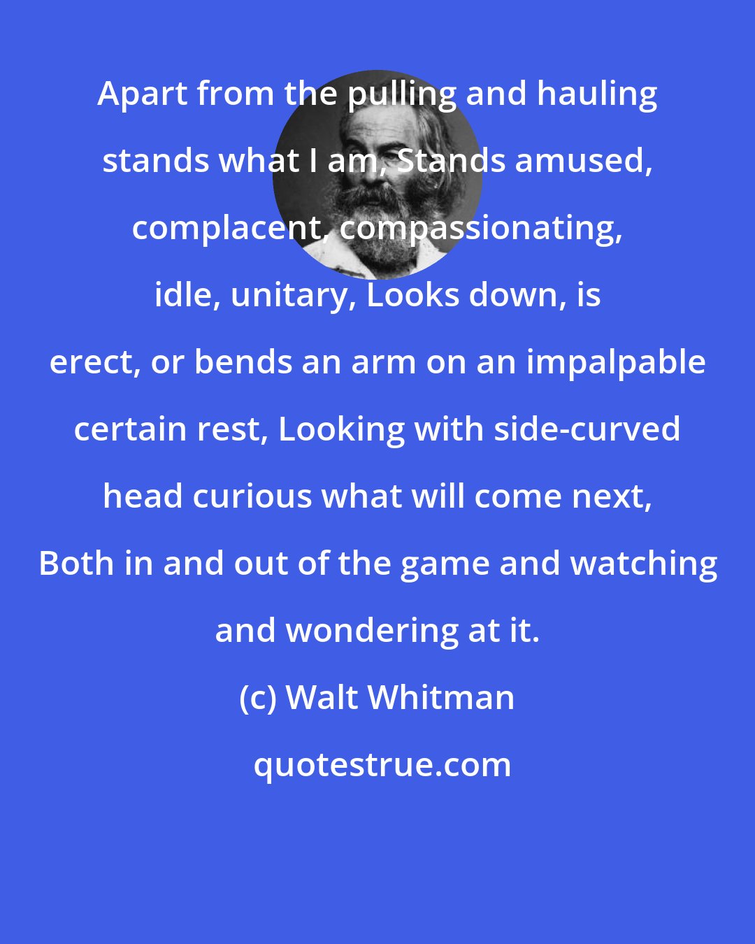 Walt Whitman: Apart from the pulling and hauling stands what I am, Stands amused, complacent, compassionating, idle, unitary, Looks down, is erect, or bends an arm on an impalpable certain rest, Looking with side-curved head curious what will come next, Both in and out of the game and watching and wondering at it.