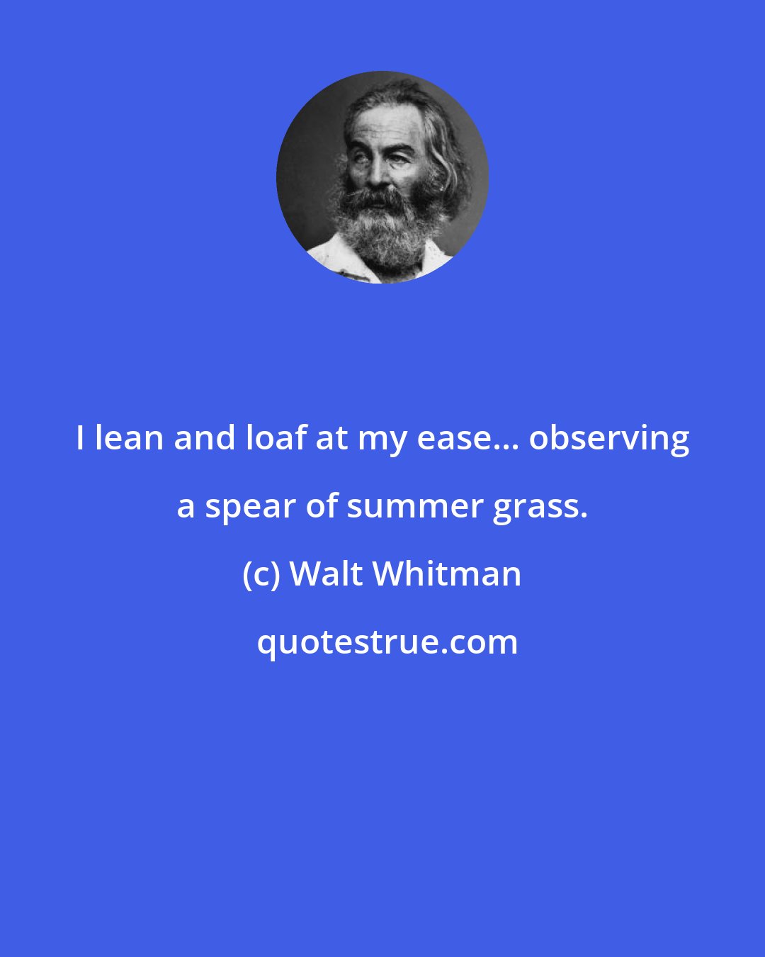 Walt Whitman: I lean and loaf at my ease... observing a spear of summer grass.