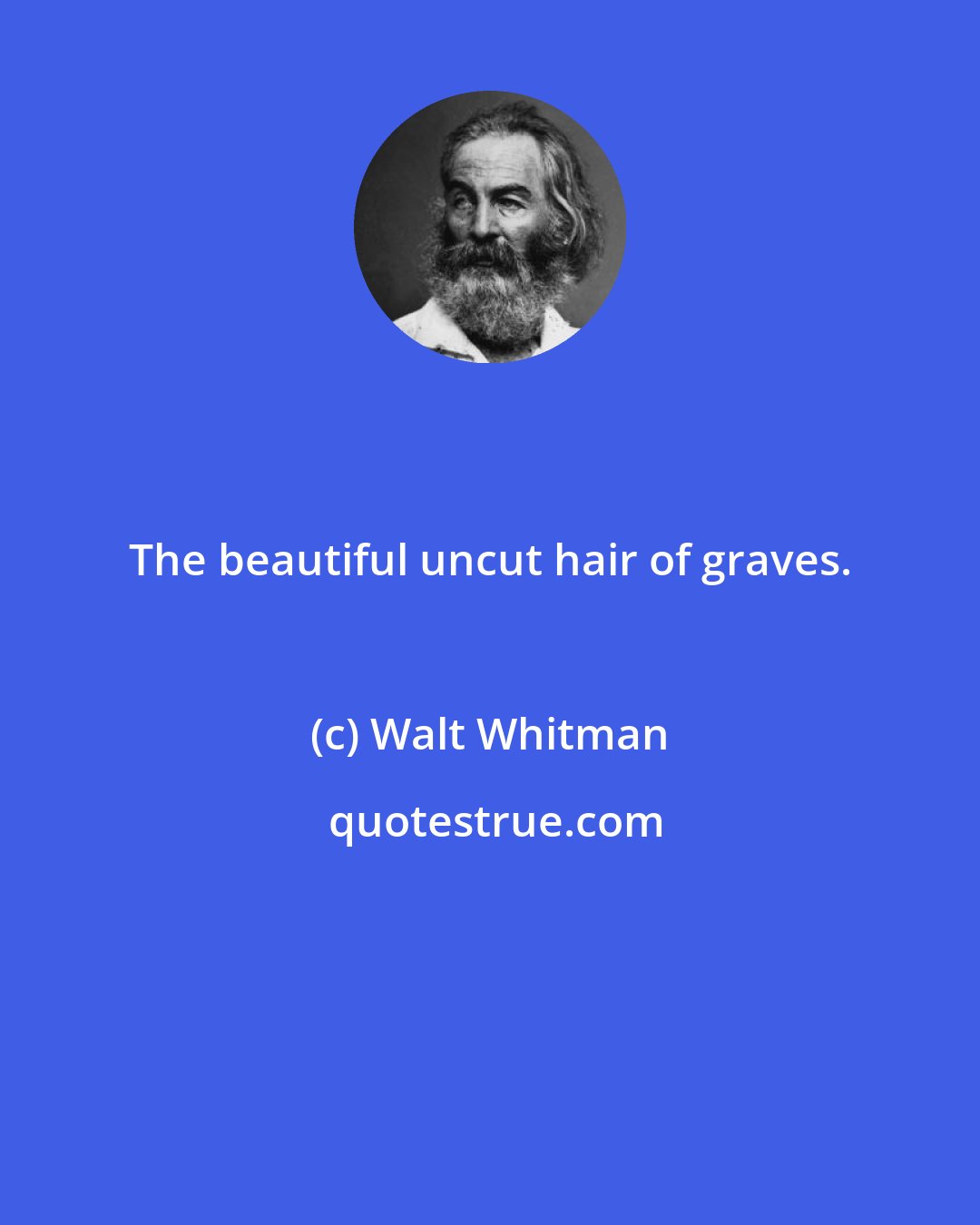 Walt Whitman: The beautiful uncut hair of graves.