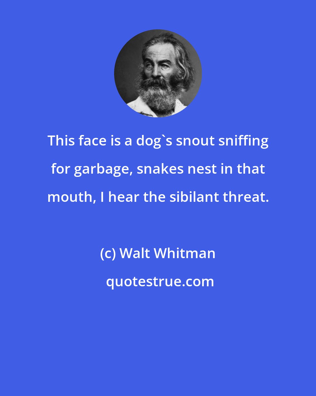 Walt Whitman: This face is a dog's snout sniffing for garbage, snakes nest in that mouth, I hear the sibilant threat.