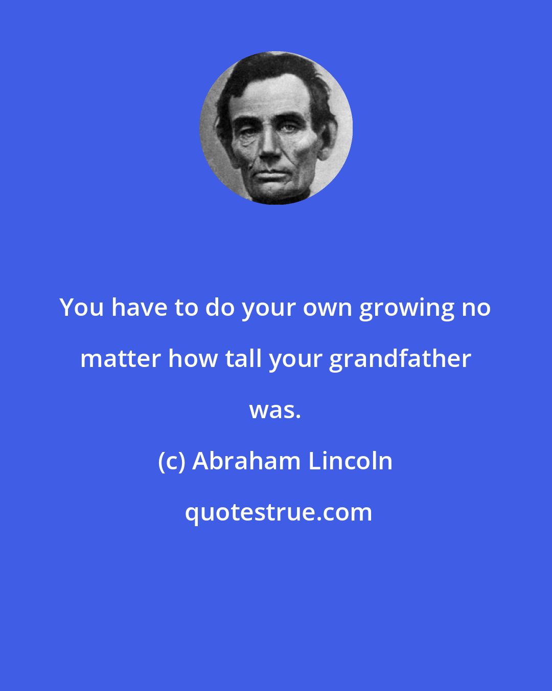 Abraham Lincoln: You have to do your own growing no matter how tall your grandfather was.