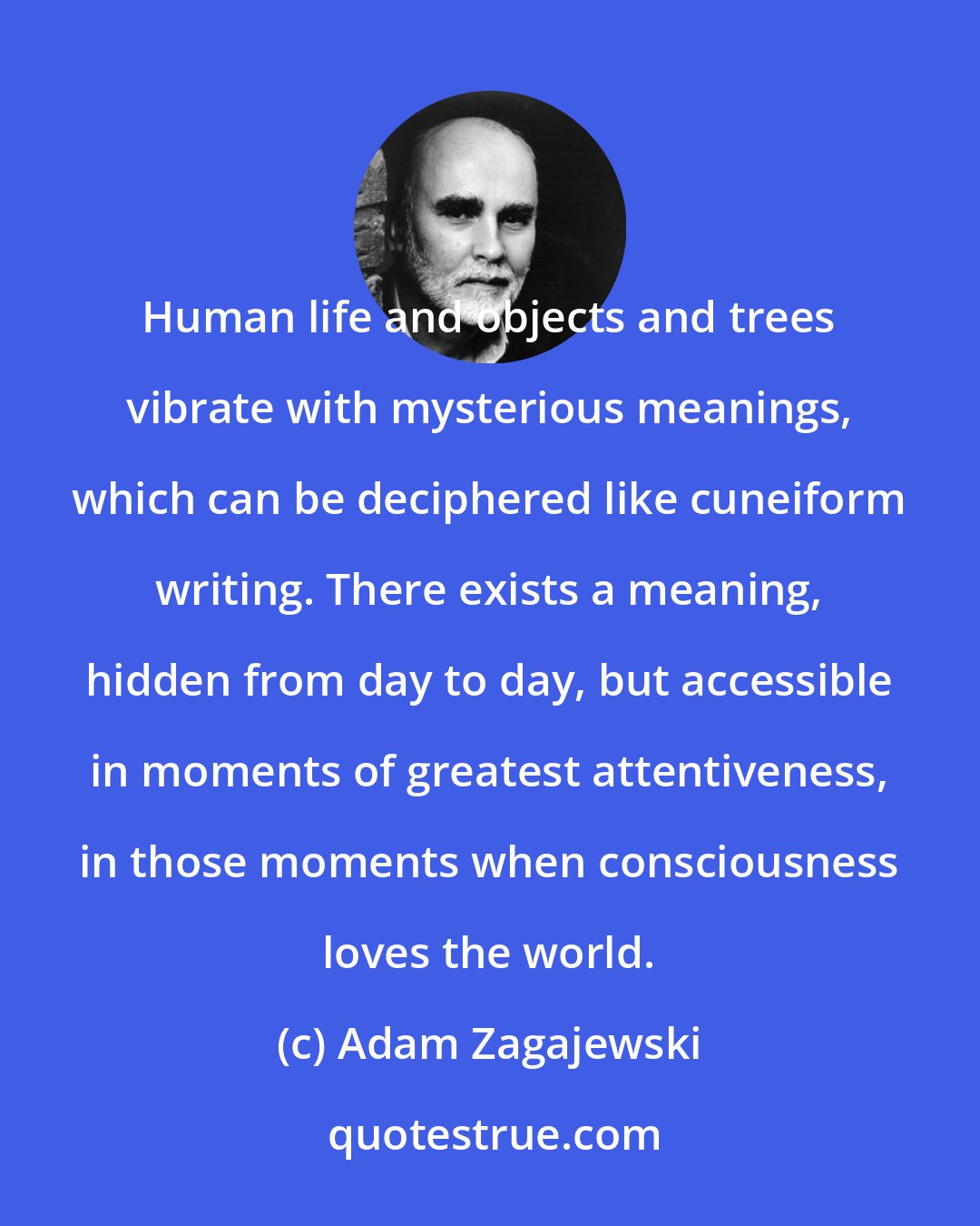 Adam Zagajewski: Human life and objects and trees vibrate with mysterious meanings, which can be deciphered like cuneiform writing. There exists a meaning, hidden from day to day, but accessible in moments of greatest attentiveness, in those moments when consciousness loves the world.