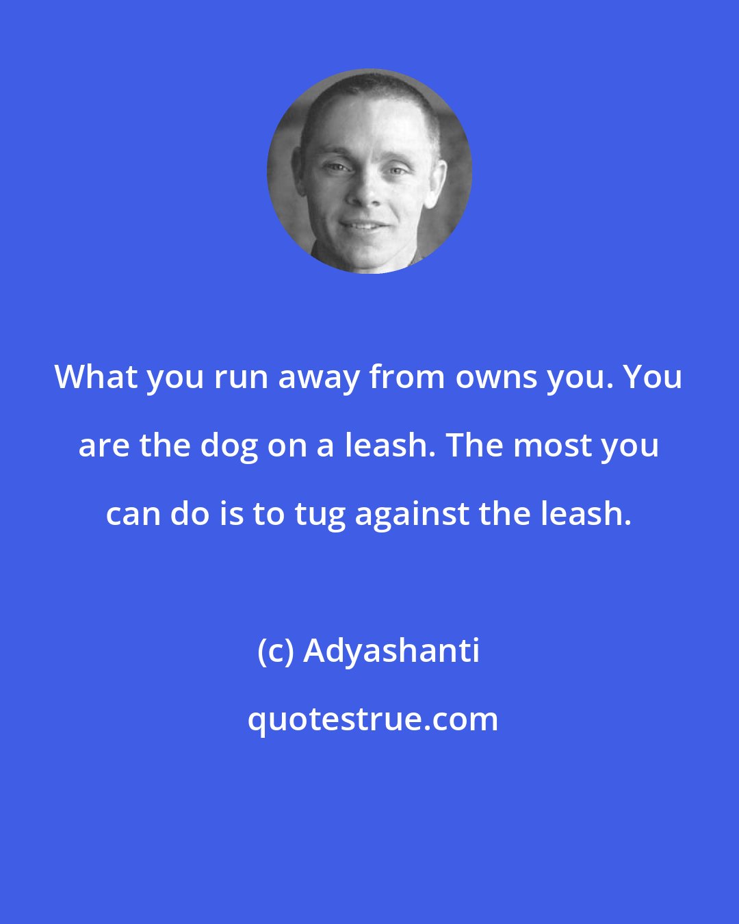 Adyashanti: What you run away from owns you. You are the dog on a leash. The most you can do is to tug against the leash.