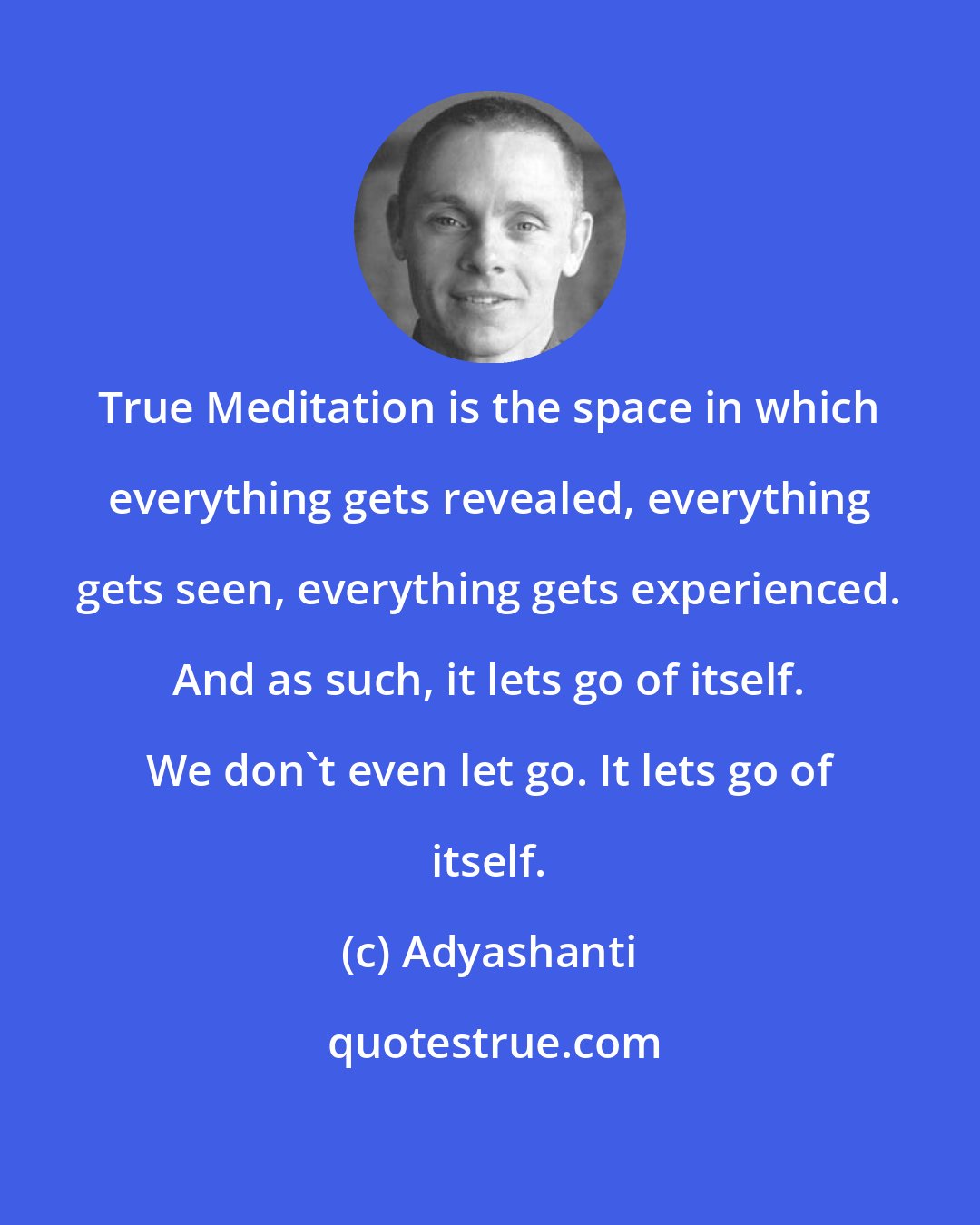 Adyashanti: True Meditation is the space in which everything gets revealed, everything gets seen, everything gets experienced. And as such, it lets go of itself. We don't even let go. It lets go of itself.