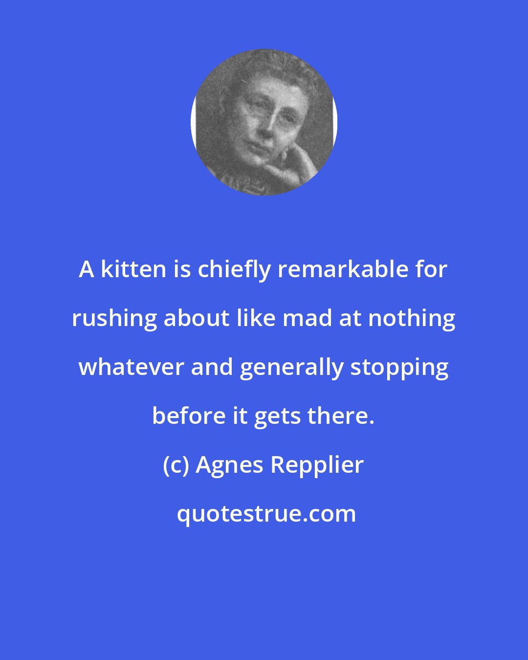 Agnes Repplier: A kitten is chiefly remarkable for rushing about like mad at nothing whatever and generally stopping before it gets there.