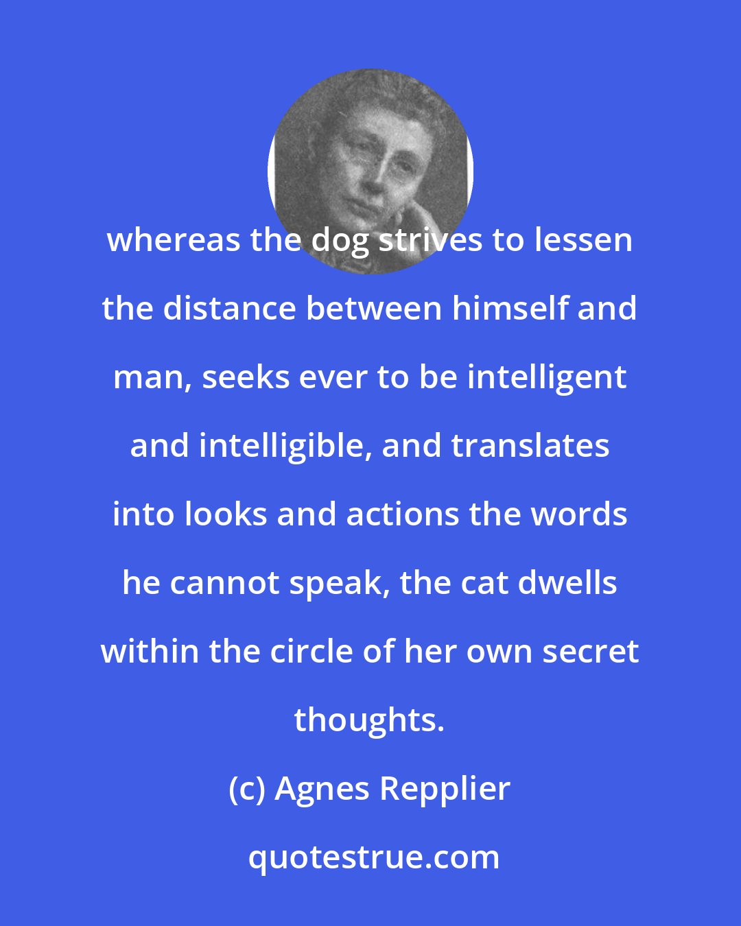 Agnes Repplier: whereas the dog strives to lessen the distance between himself and man, seeks ever to be intelligent and intelligible, and translates into looks and actions the words he cannot speak, the cat dwells within the circle of her own secret thoughts.