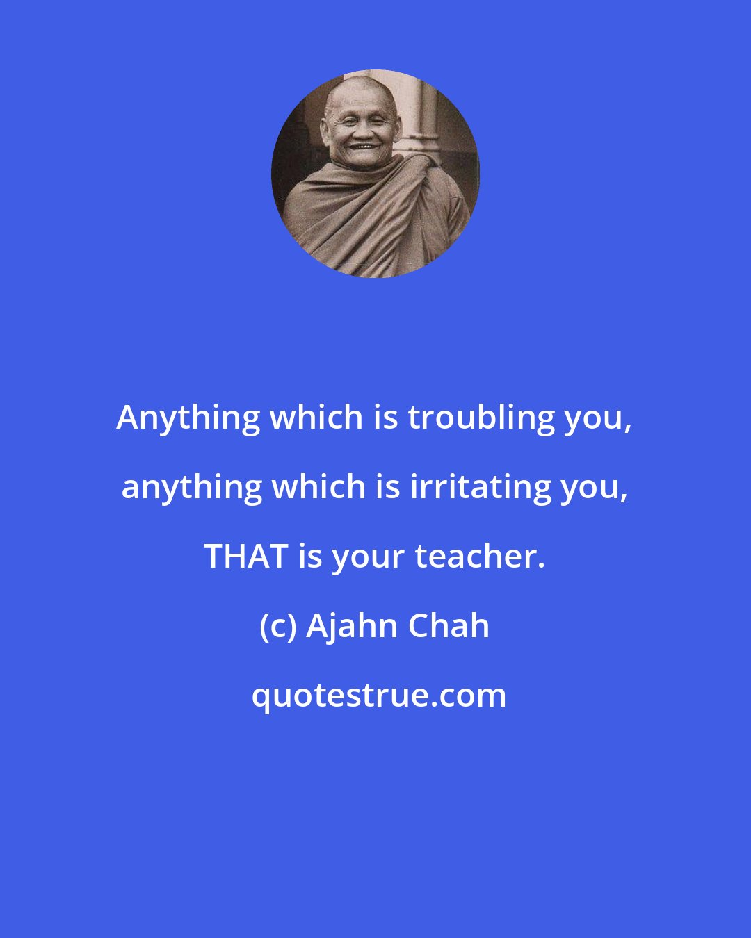 Ajahn Chah: Anything which is troubling you, anything which is irritating you, THAT is your teacher.