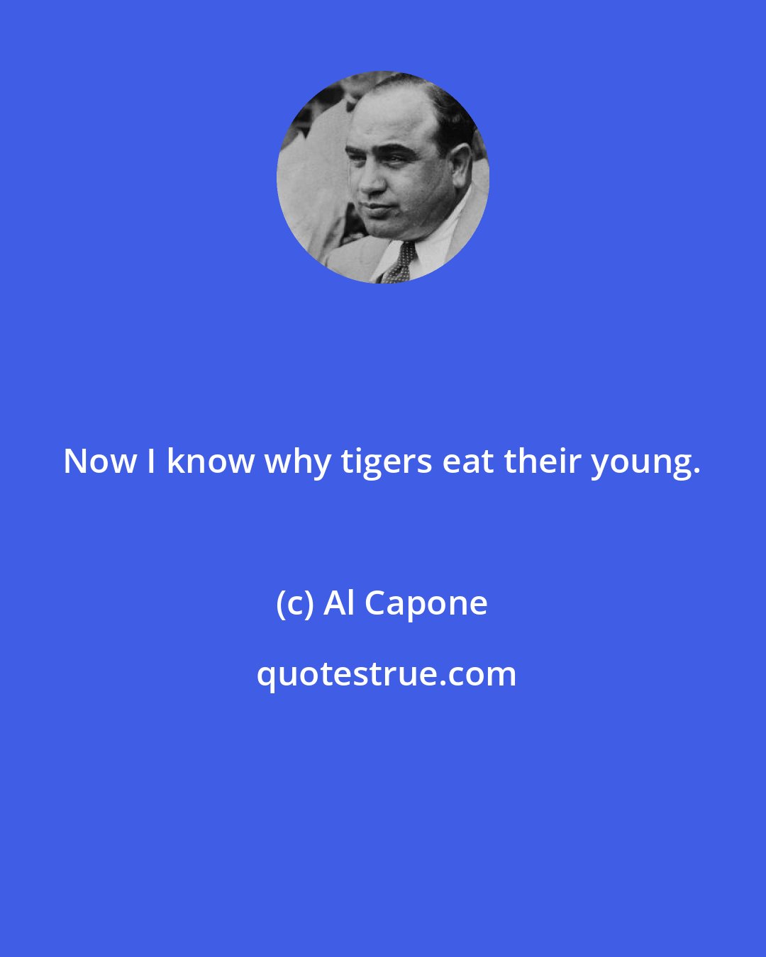 Al Capone: Now I know why tigers eat their young.