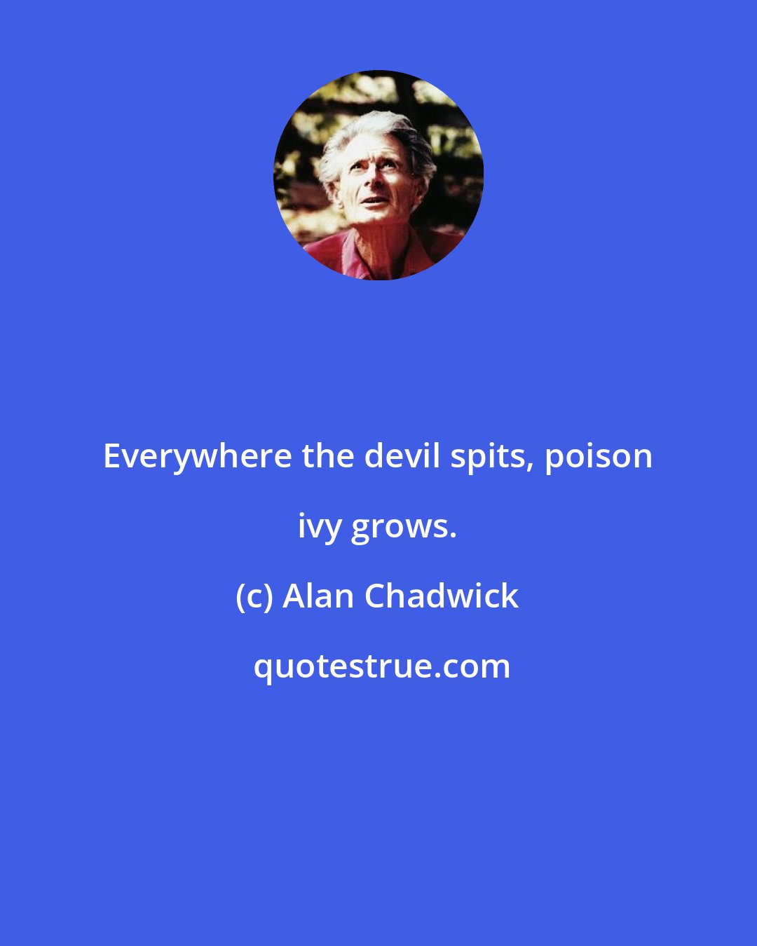 Alan Chadwick: Everywhere the devil spits, poison ivy grows.