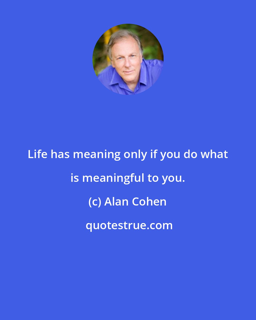 Alan Cohen: Life has meaning only if you do what is meaningful to you.