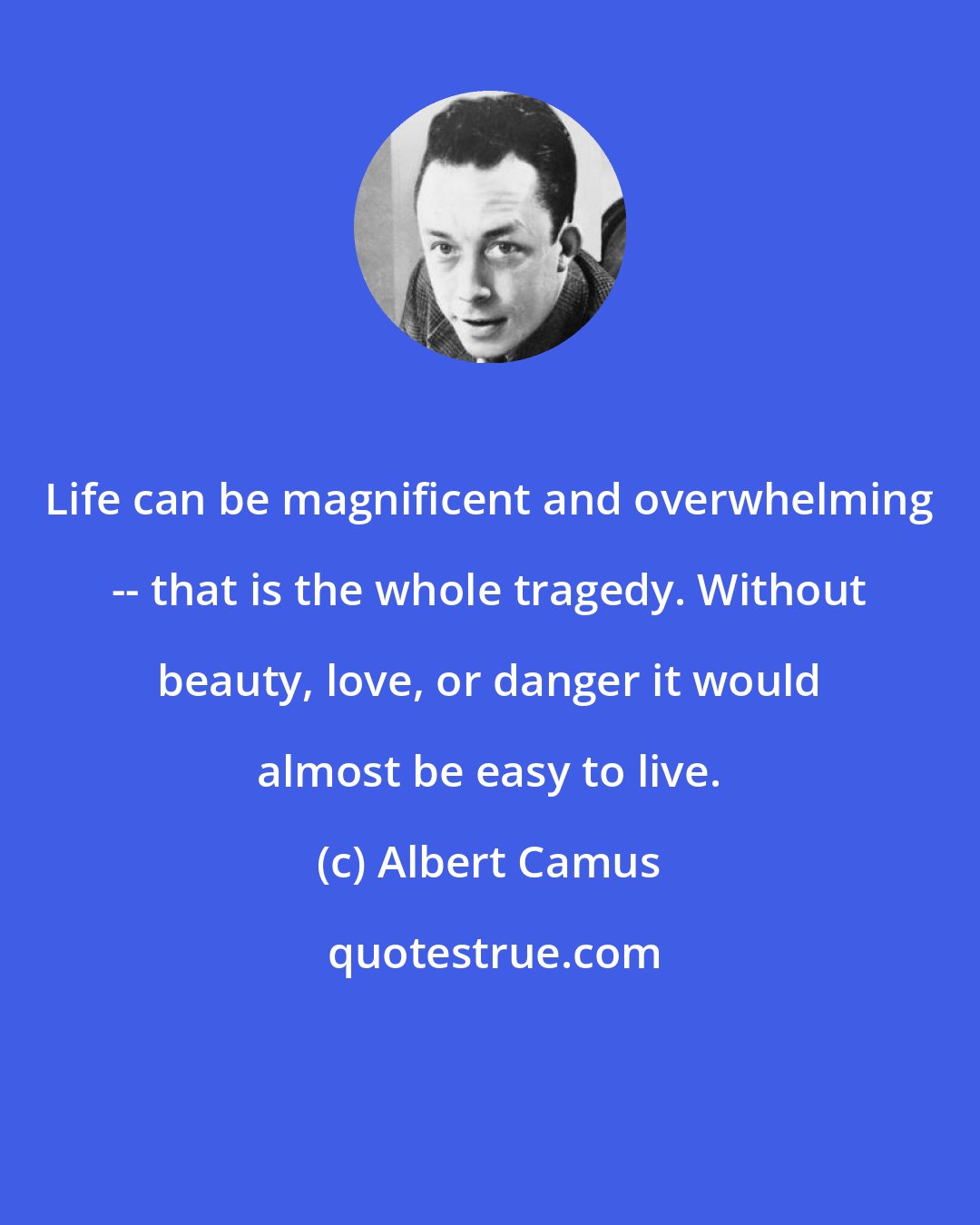 Albert Camus: Life can be magnificent and overwhelming -- that is the whole tragedy. Without beauty, love, or danger it would almost be easy to live.