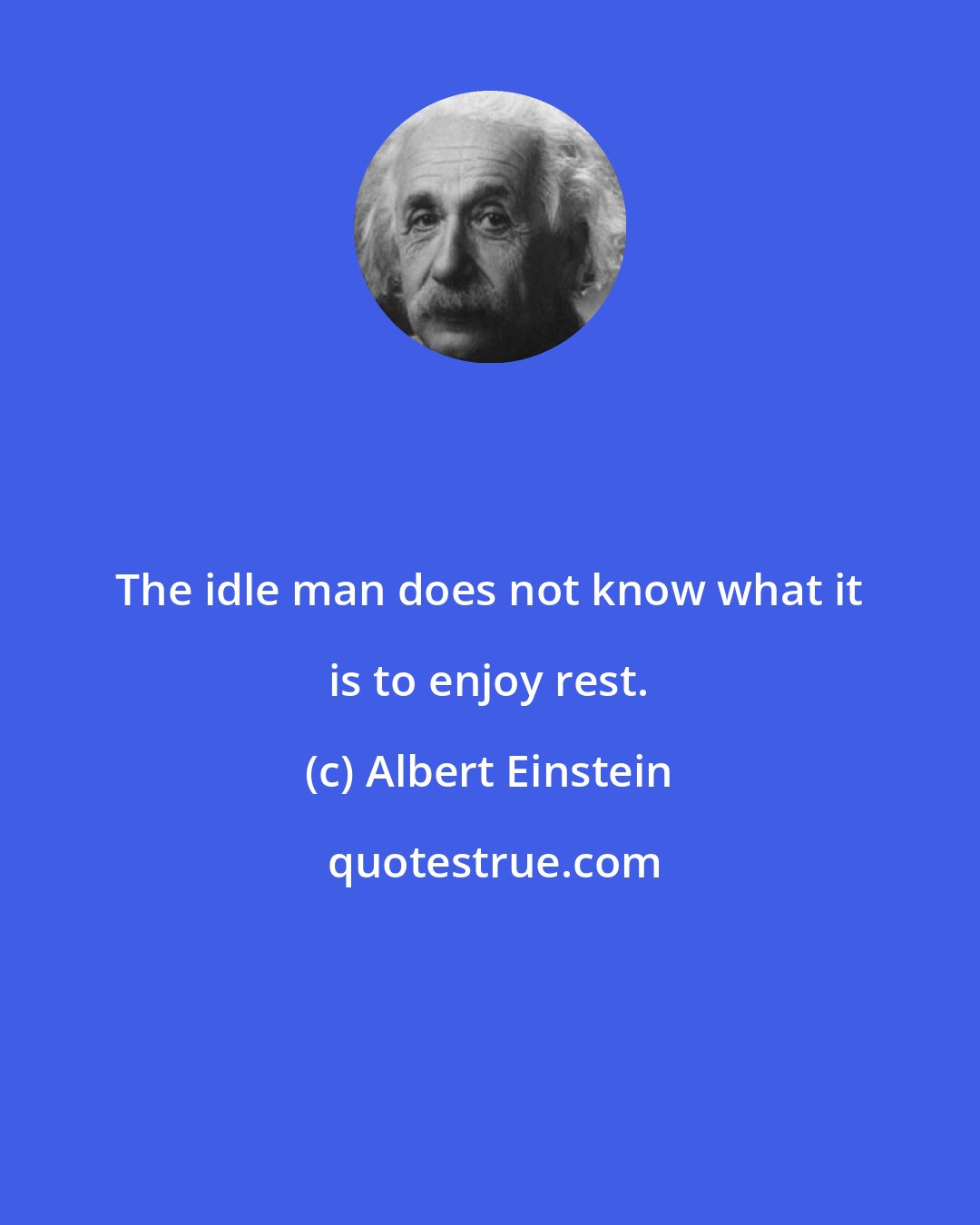 Albert Einstein: The idle man does not know what it is to enjoy rest.