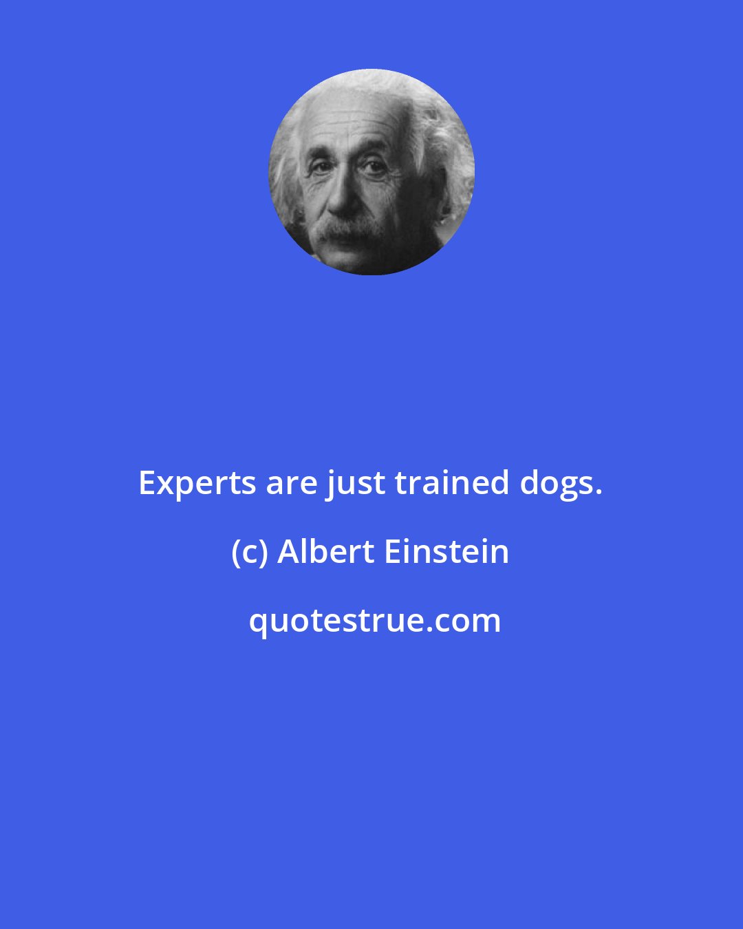 Albert Einstein: Experts are just trained dogs.