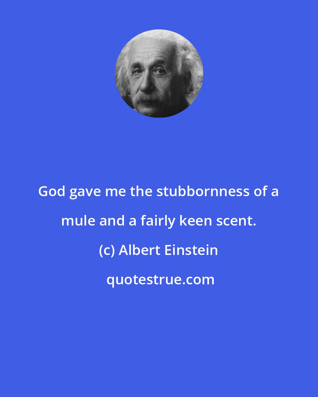 Albert Einstein: God gave me the stubbornness of a mule and a fairly keen scent.