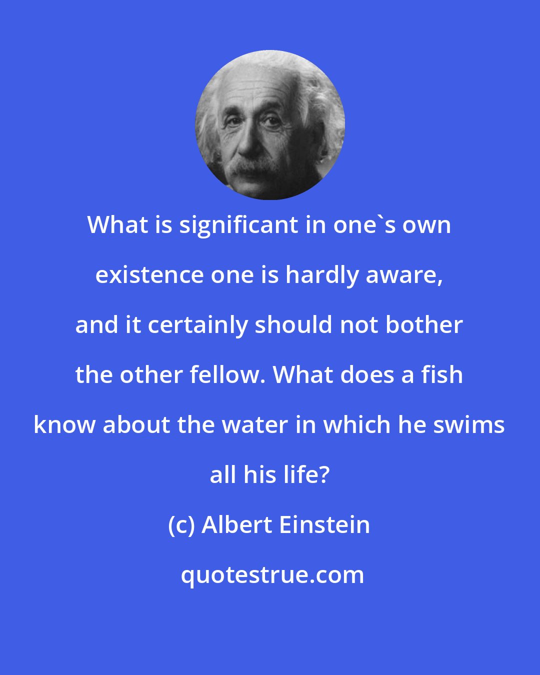 Albert Einstein: What is significant in one's own existence one is hardly aware, and it certainly should not bother the other fellow. What does a fish know about the water in which he swims all his life?