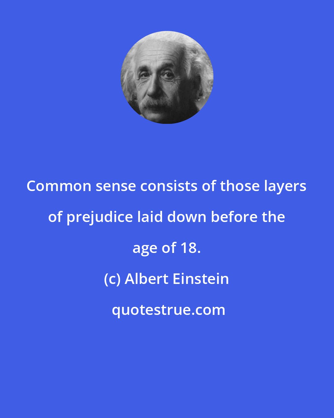 Albert Einstein: Common sense consists of those layers of prejudice laid down before the age of 18.