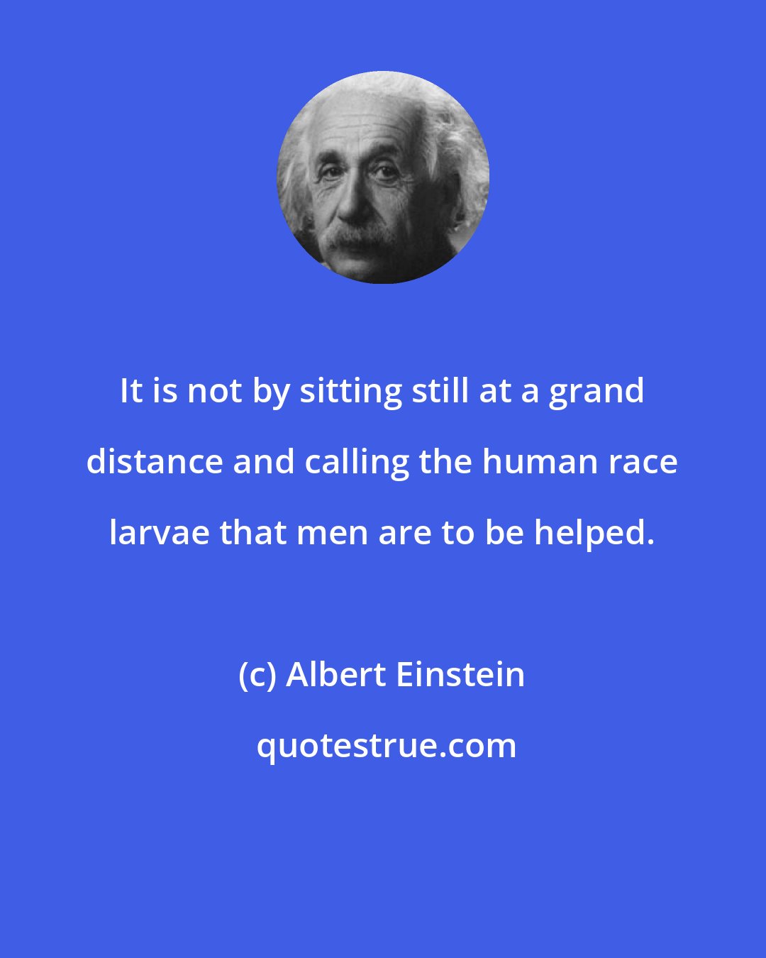 Albert Einstein: It is not by sitting still at a grand distance and calling the human race larvae that men are to be helped.