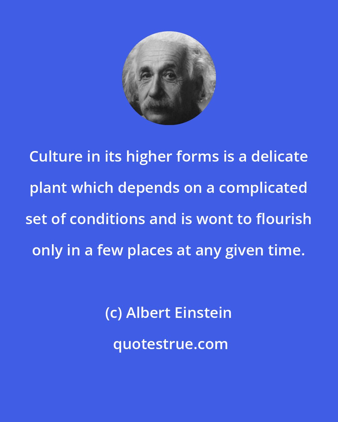 Albert Einstein: Culture in its higher forms is a delicate plant which depends on a complicated set of conditions and is wont to flourish only in a few places at any given time.