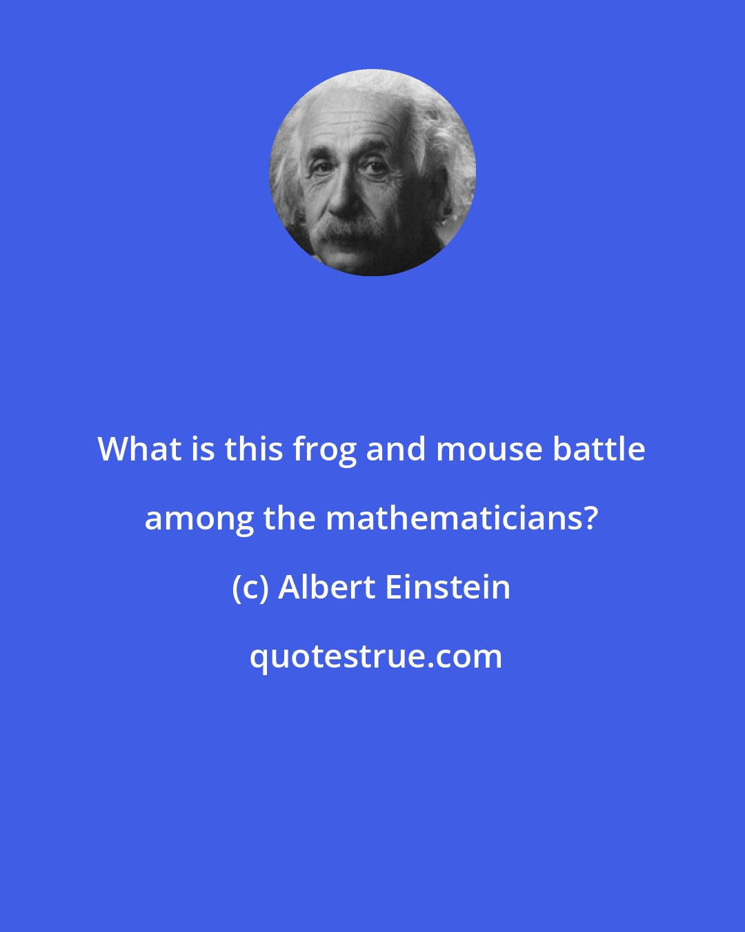 Albert Einstein: What is this frog and mouse battle among the mathematicians?