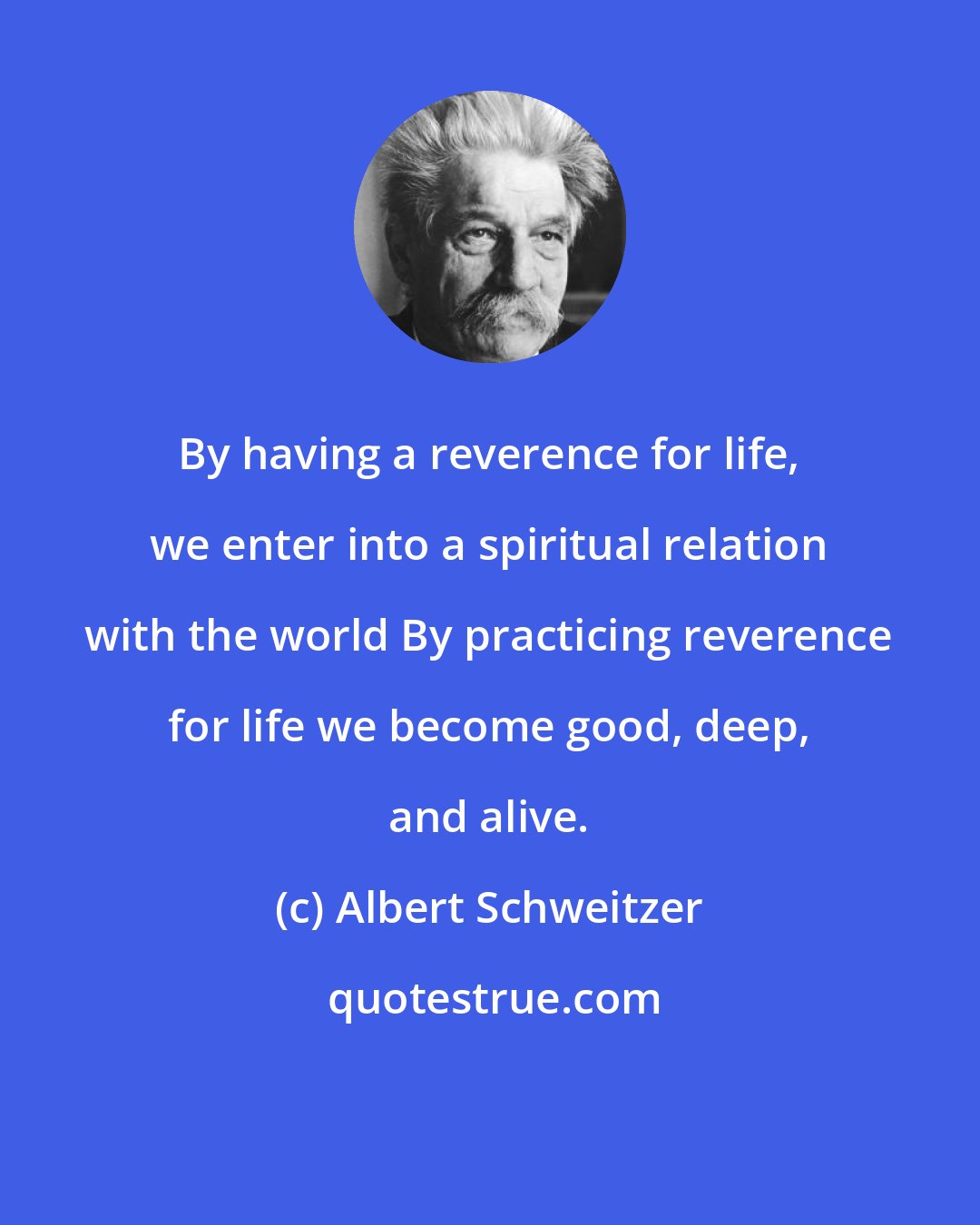 Albert Schweitzer: By having a reverence for life, we enter into a spiritual relation with the world By practicing reverence for life we become good, deep, and alive.
