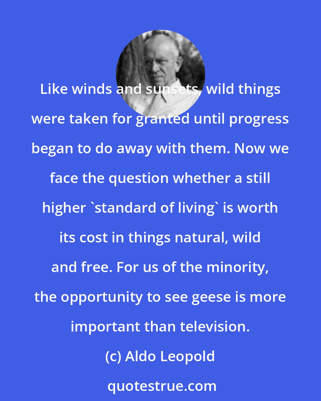 Aldo Leopold: Like winds and sunsets, wild things were taken for granted until progress began to do away with them. Now we face the question whether a still higher 'standard of living' is worth its cost in things natural, wild and free. For us of the minority, the opportunity to see geese is more important than television.