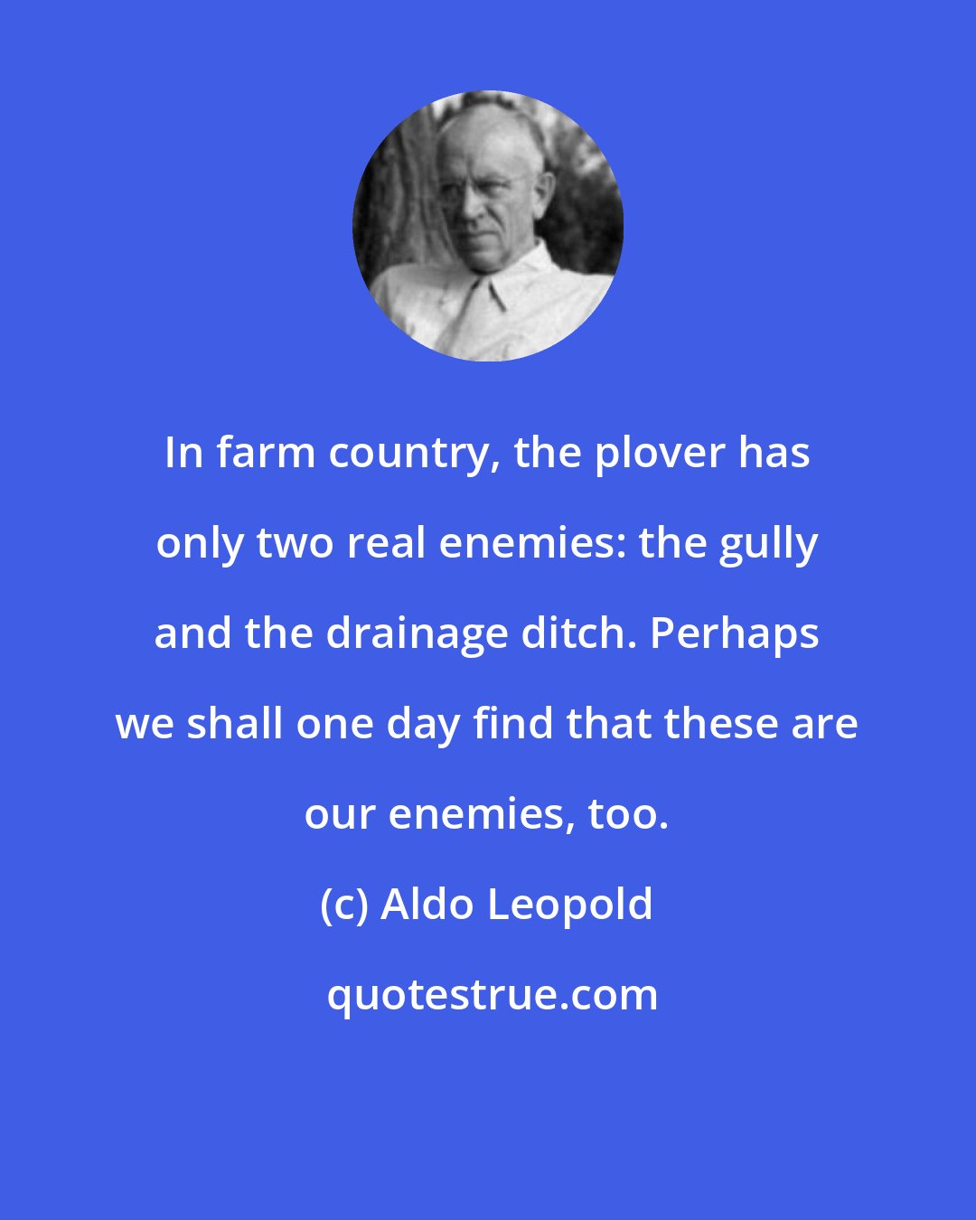 Aldo Leopold: In farm country, the plover has only two real enemies: the gully and the drainage ditch. Perhaps we shall one day find that these are our enemies, too.