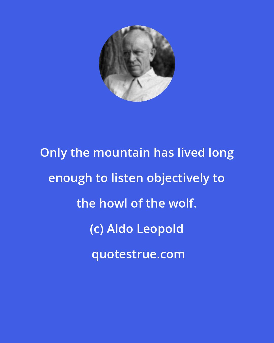 Aldo Leopold: Only the mountain has lived long enough to listen objectively to the howl of the wolf.