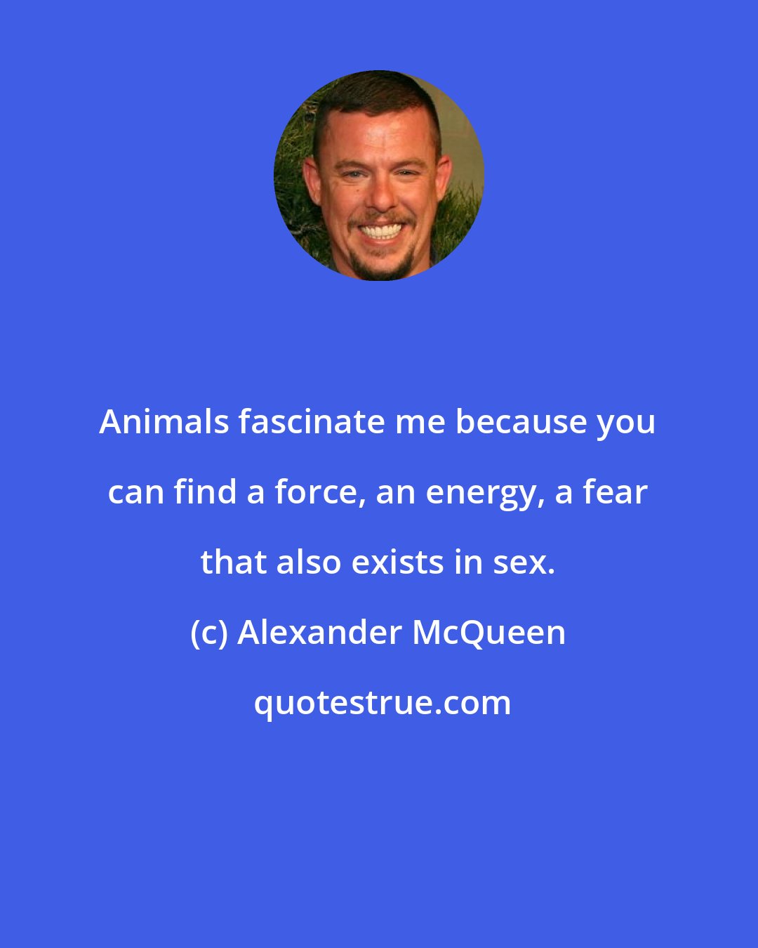 Alexander McQueen: Animals fascinate me because you can find a force, an energy, a fear that also exists in sex.