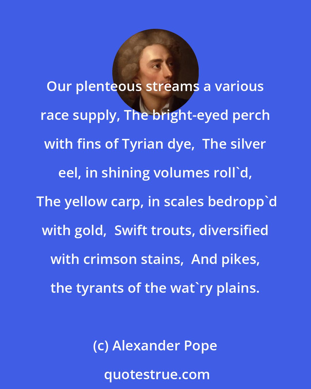 Alexander Pope: Our plenteous streams a various race supply, The bright-eyed perch with fins of Tyrian dye,  The silver eel, in shining volumes roll'd,  The yellow carp, in scales bedropp'd with gold,  Swift trouts, diversified with crimson stains,  And pikes, the tyrants of the wat'ry plains.