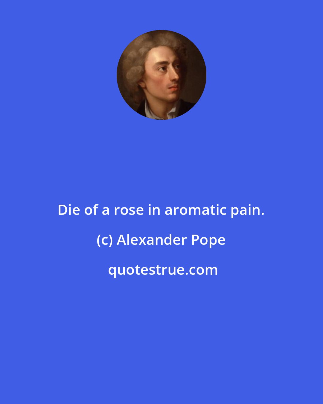 Alexander Pope: Die of a rose in aromatic pain.