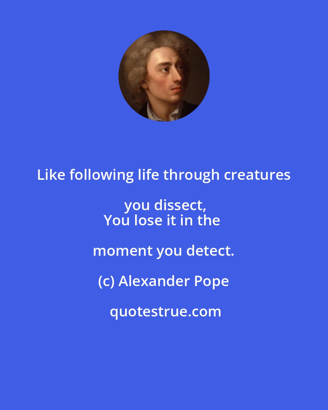 Alexander Pope: Like following life through creatures you dissect,
You lose it in the moment you detect.