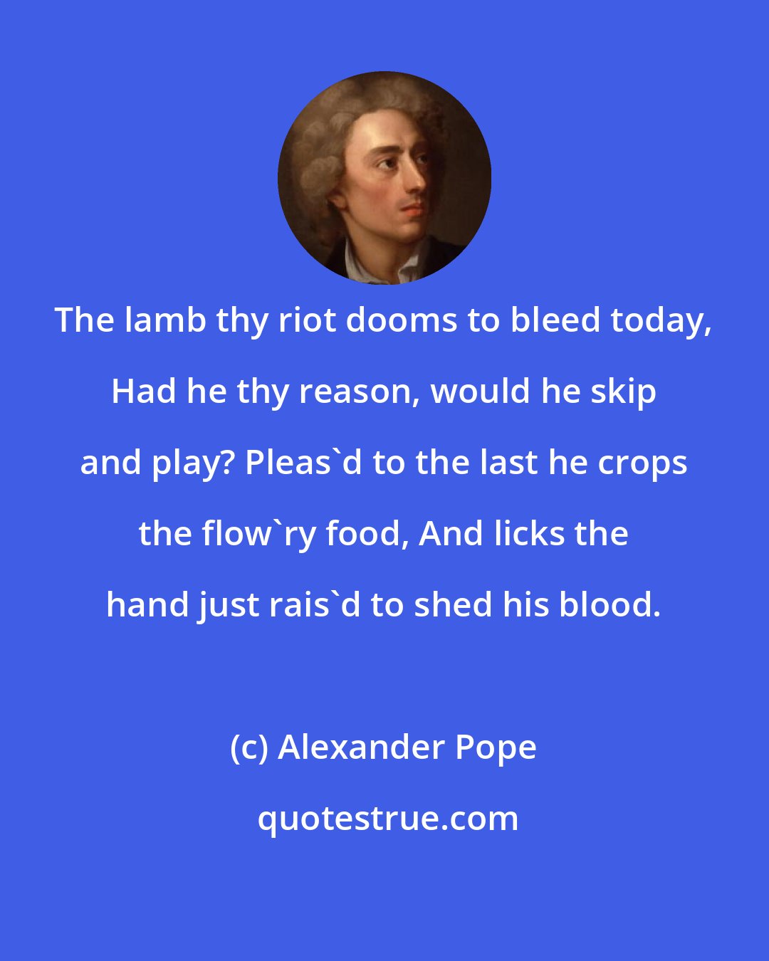 Alexander Pope: The lamb thy riot dooms to bleed today, Had he thy reason, would he skip and play? Pleas'd to the last he crops the flow'ry food, And licks the hand just rais'd to shed his blood.