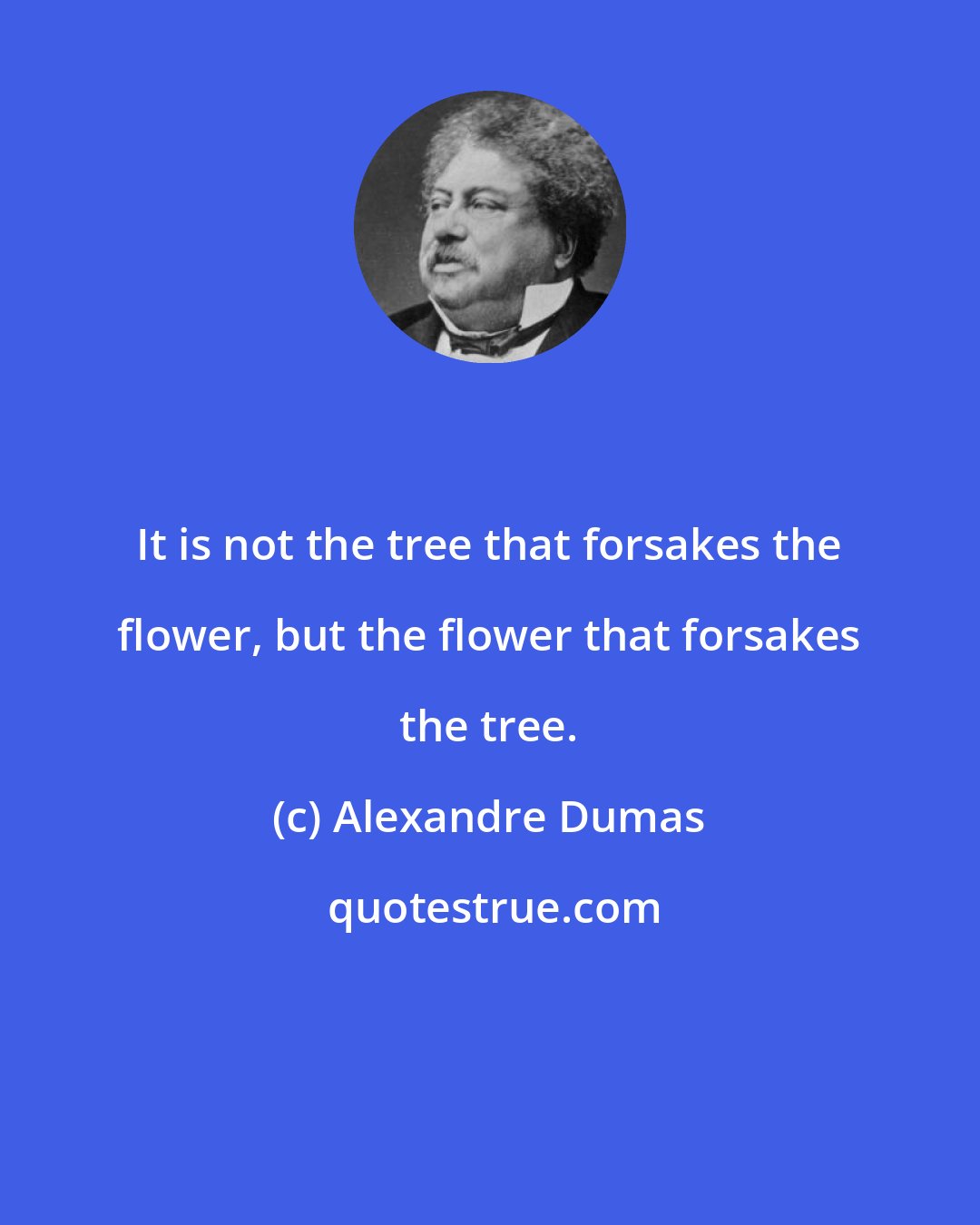 Alexandre Dumas: It is not the tree that forsakes the flower, but the flower that forsakes the tree.