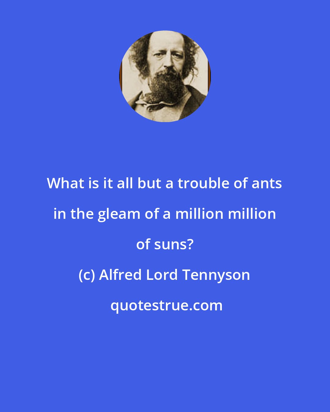 Alfred Lord Tennyson: What is it all but a trouble of ants in the gleam of a million million of suns?