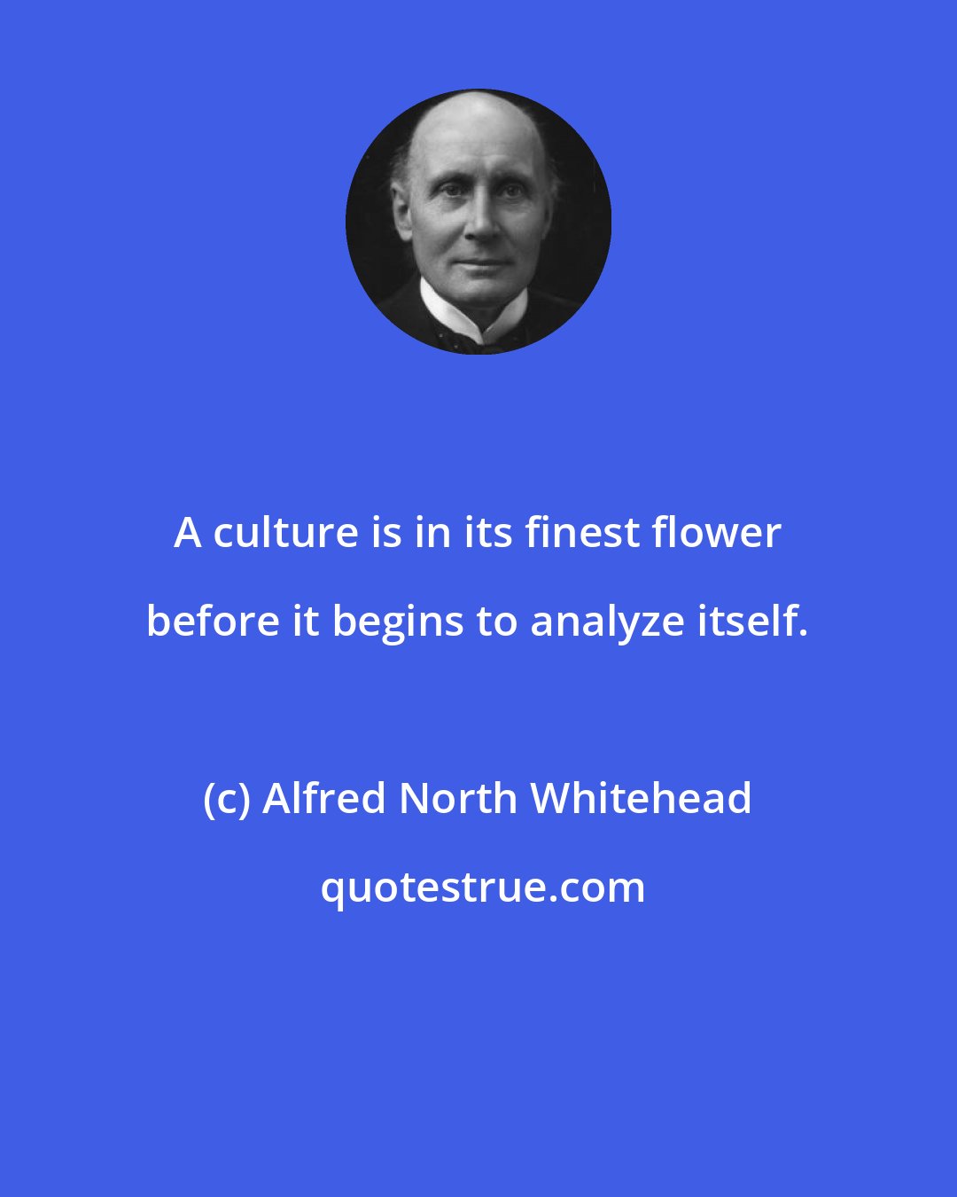 Alfred North Whitehead: A culture is in its finest flower before it begins to analyze itself.