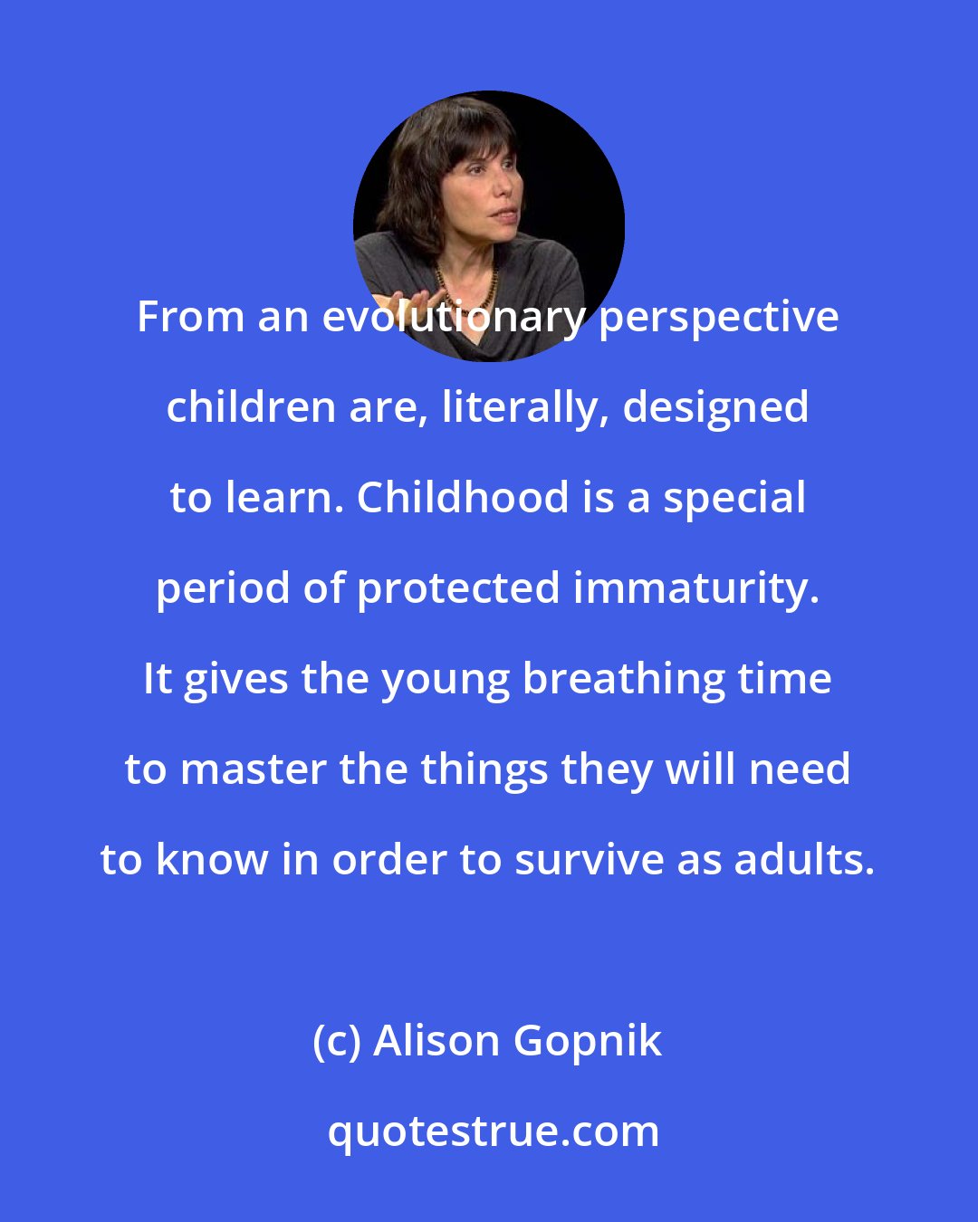 Alison Gopnik: From an evolutionary perspective children are, literally, designed to learn. Childhood is a special period of protected immaturity. It gives the young breathing time to master the things they will need to know in order to survive as adults.