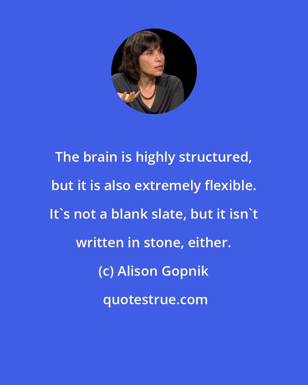 Alison Gopnik: The brain is highly structured, but it is also extremely flexible. It's not a blank slate, but it isn't written in stone, either.