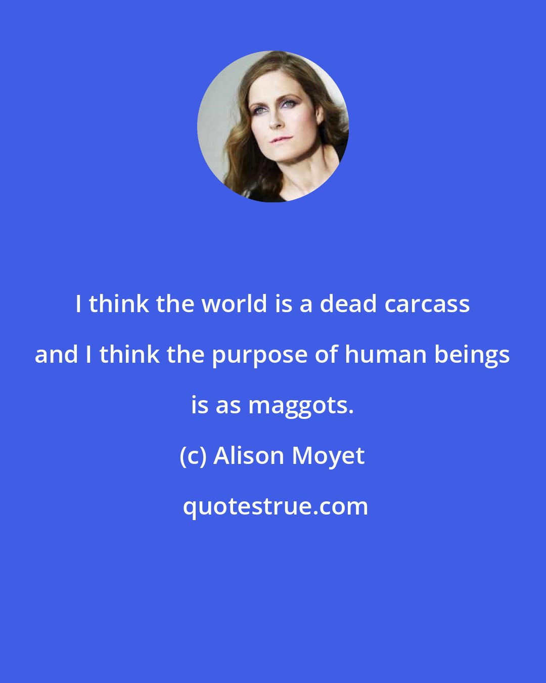 Alison Moyet: I think the world is a dead carcass and I think the purpose of human beings is as maggots.