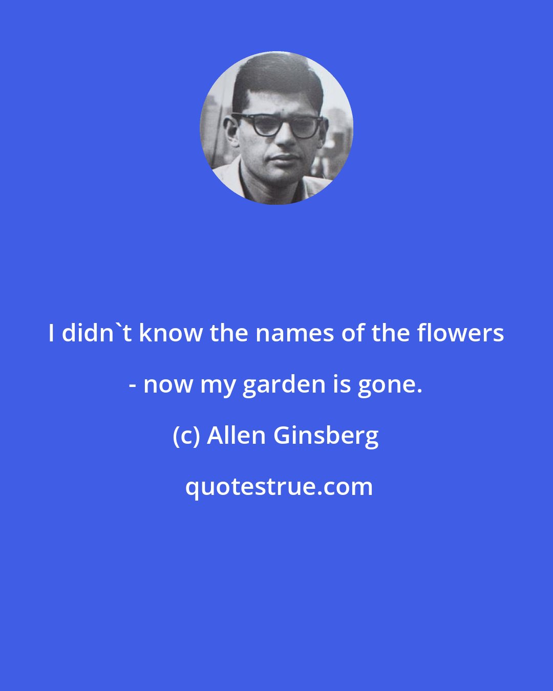 Allen Ginsberg: I didn't know the names of the flowers - now my garden is gone.
