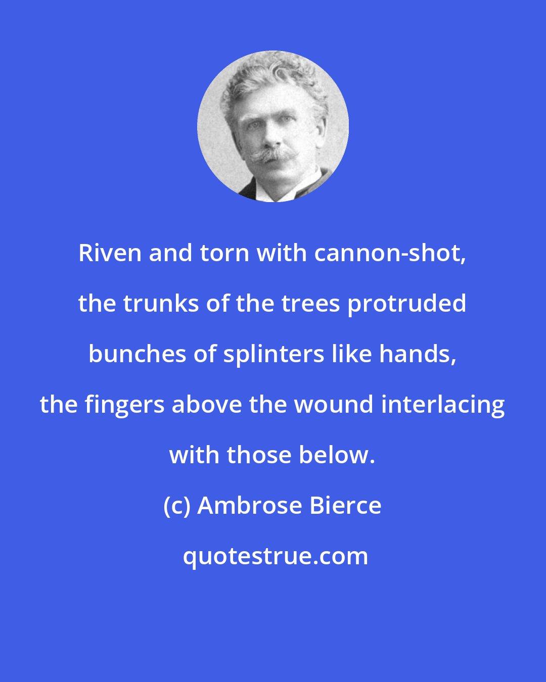 Ambrose Bierce: Riven and torn with cannon-shot, the trunks of the trees protruded bunches of splinters like hands, the fingers above the wound interlacing with those below.