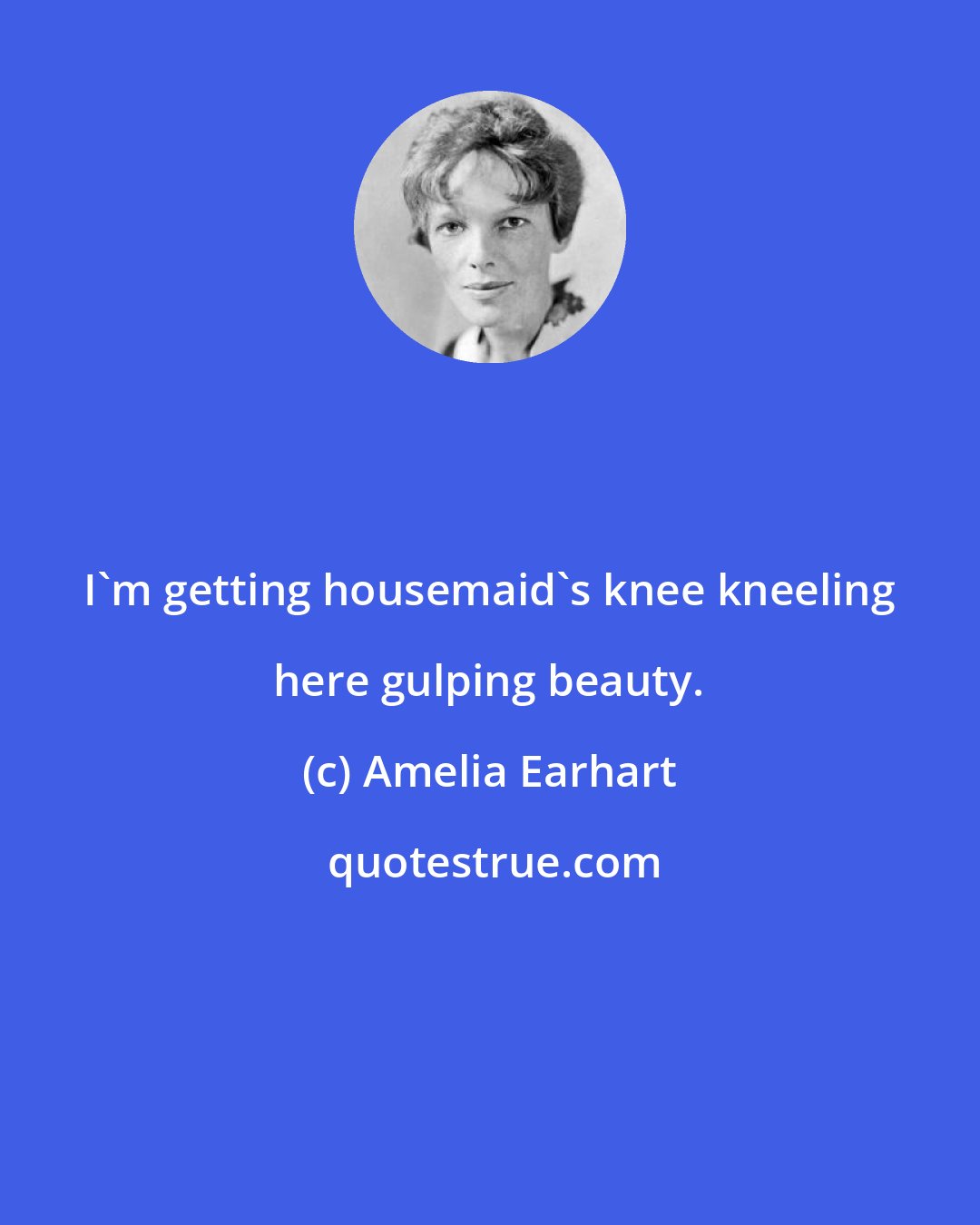 Amelia Earhart: I'm getting housemaid's knee kneeling here gulping beauty.