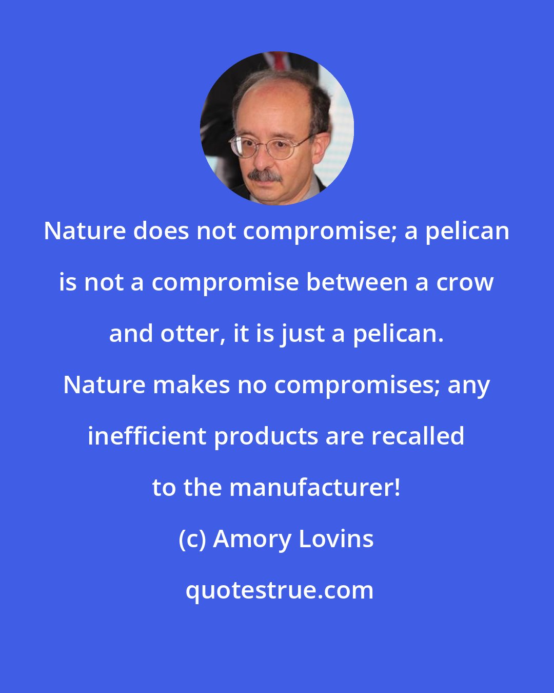 Amory Lovins: Nature does not compromise; a pelican is not a compromise between a crow and otter, it is just a pelican. Nature makes no compromises; any inefficient products are recalled to the manufacturer!