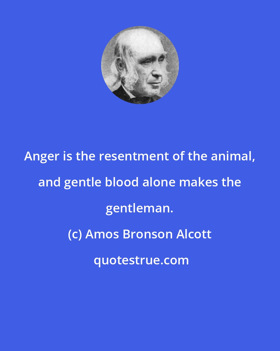 Amos Bronson Alcott: Anger is the resentment of the animal, and gentle blood alone makes the gentleman.