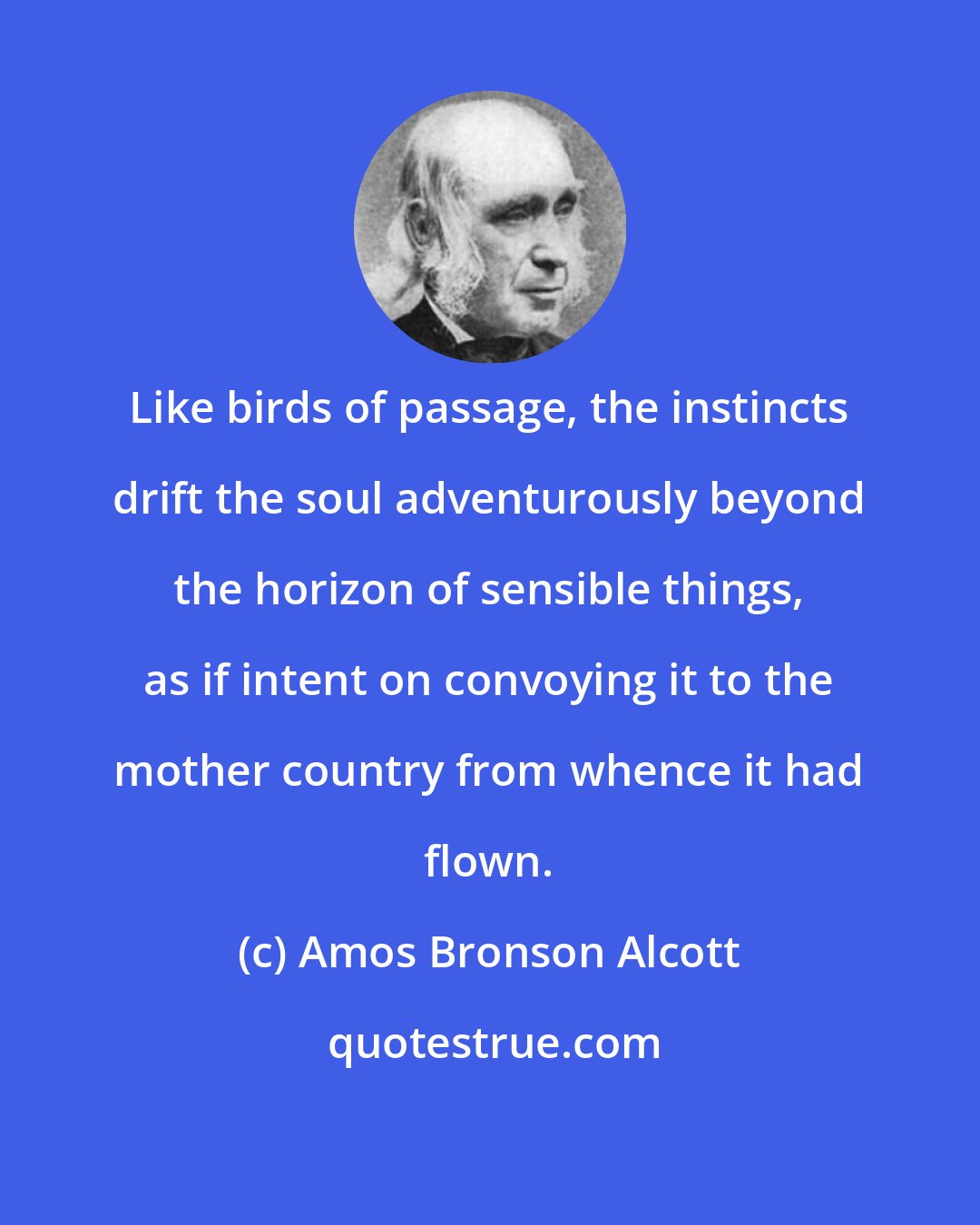 Amos Bronson Alcott: Like birds of passage, the instincts drift the soul adventurously beyond the horizon of sensible things, as if intent on convoying it to the mother country from whence it had flown.