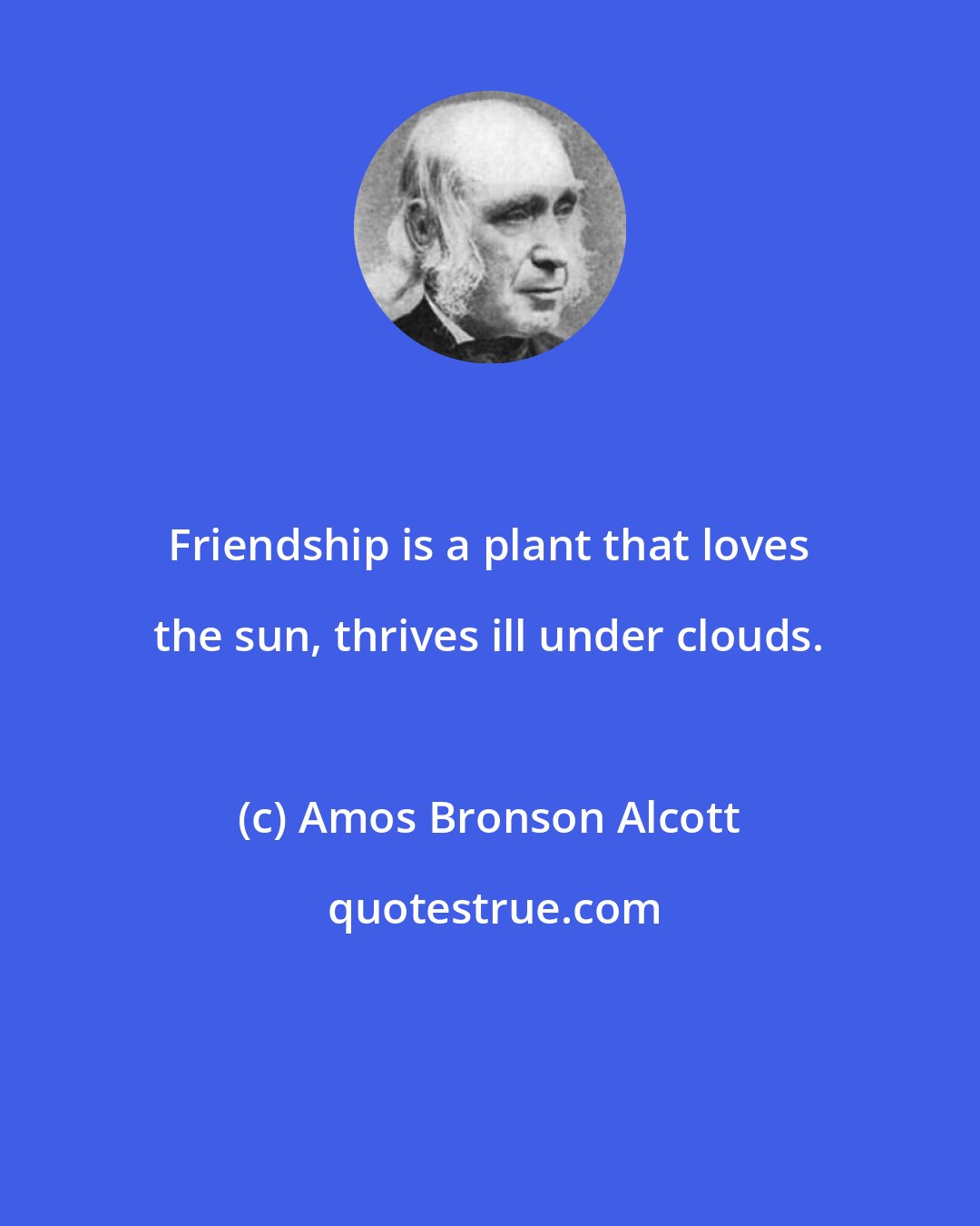 Amos Bronson Alcott: Friendship is a plant that loves the sun, thrives ill under clouds.